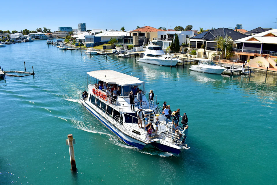 Dolphin Cruise Vessel