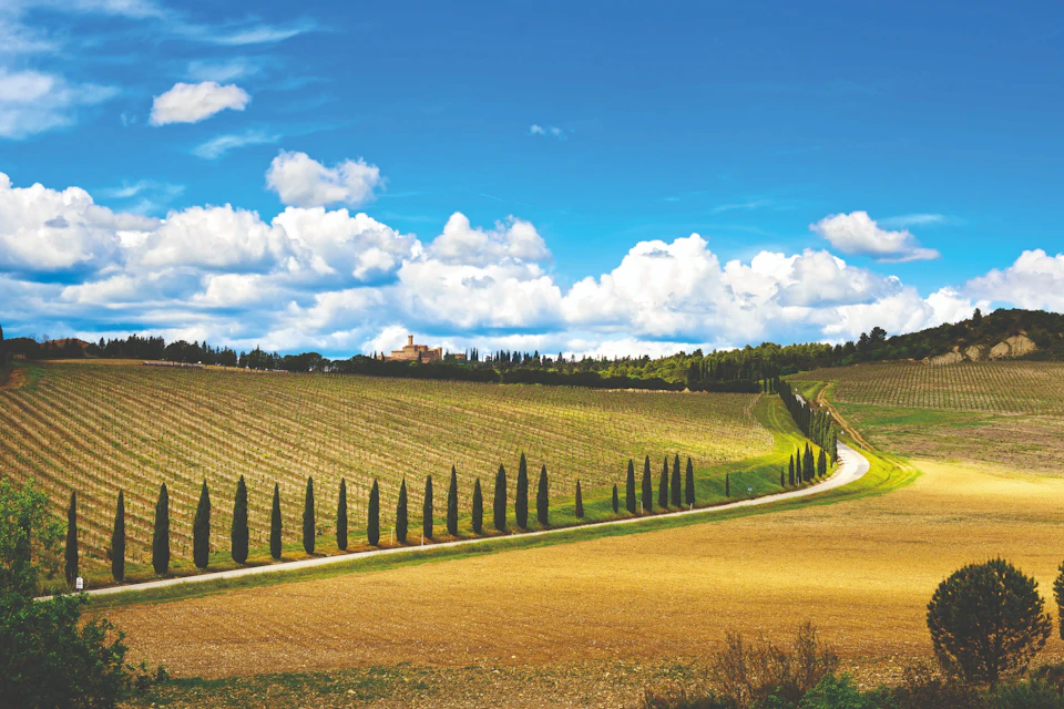 Chianti area