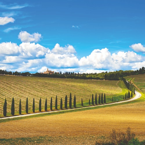 Desde Florencia: Excursión a Siena, San Gimignano y Pisa + cata de vinos