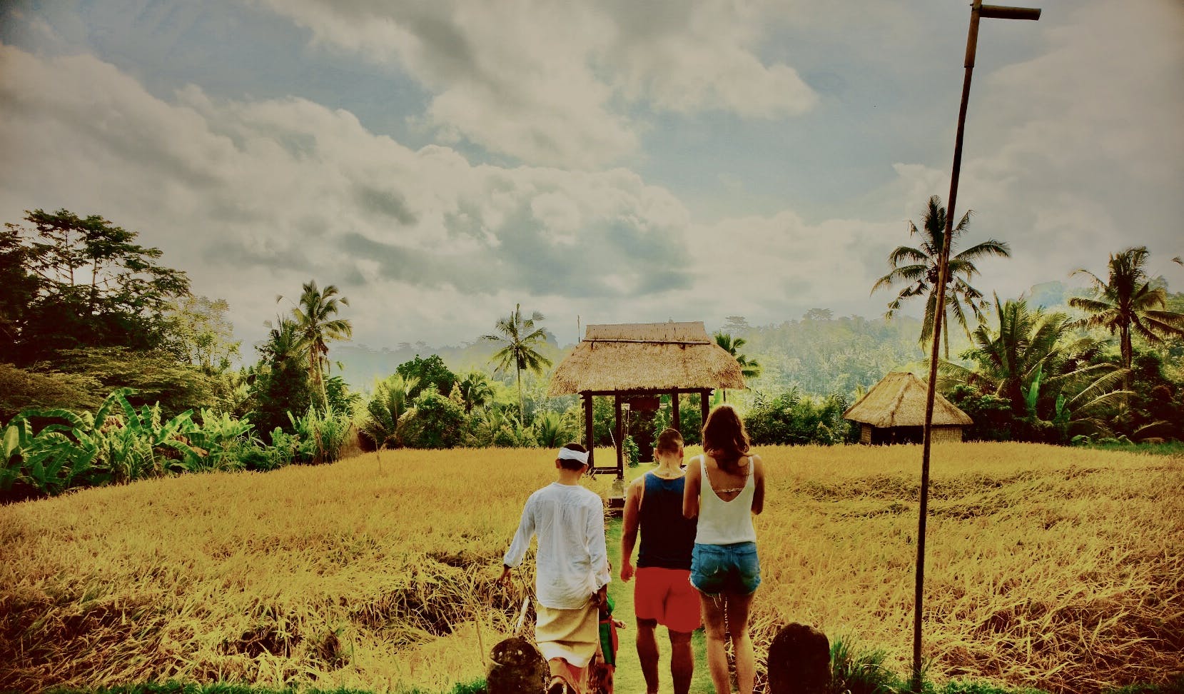 三个人穿过一片金色的稻田，走向一座茅草屋，周围环绕着多云的天空下的热带树木。