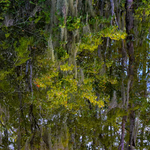 Big Cypress: Self-Guided Driving Tour - Photo 7