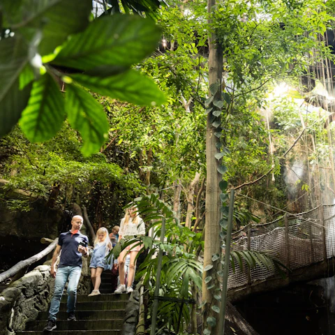 Universeum