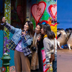 Three women take a selfie in front of colorful graffiti; to the right, penguins stand on a beach.