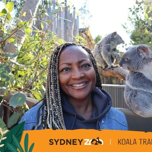 Blue Mountains & Sydney Zoo: Day Tour from Sydney - Photo 9