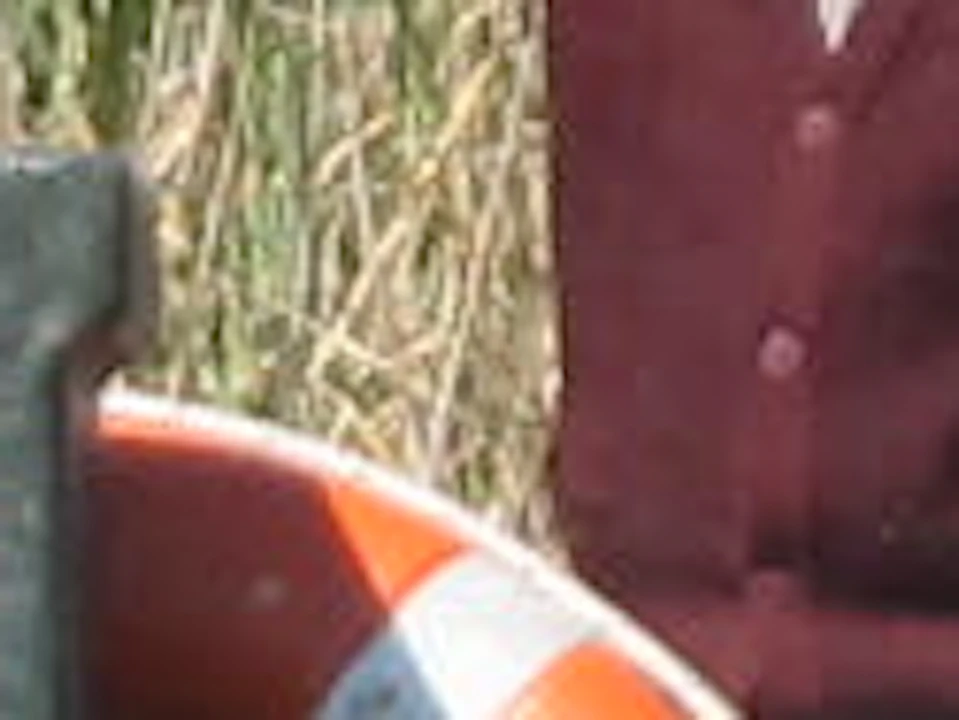 A group of people sits in a small boat with a life buoy attached, navigating through a narrow waterway surrounded by tall reeds.