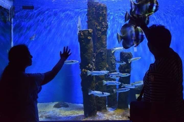 Silhouette di persone che osservano pesci e strutture subacquee all'interno di un grande acquario con illuminazione blu.