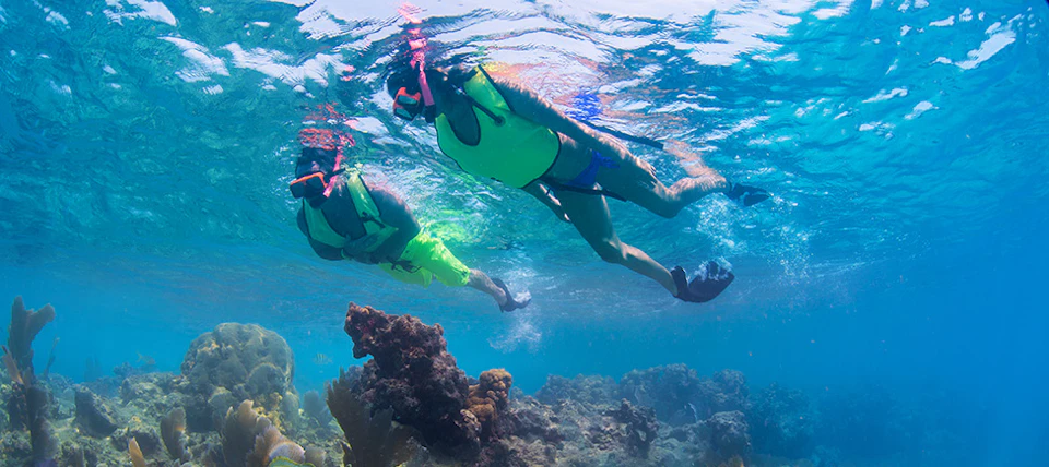 Two people snorkeling in clear blue water above a coral reef, wearing neon green vests and snorkel gear.