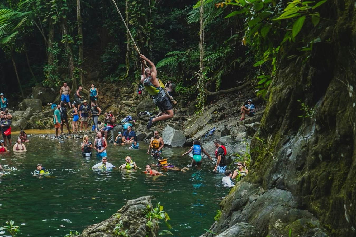 El Yunque National Forest: Guided Hiking Tour + Roundtrip Transport - Photo 2