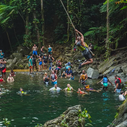 El Yunque National Forest: Guided Hiking Tour + Roundtrip Transport - Photo 2