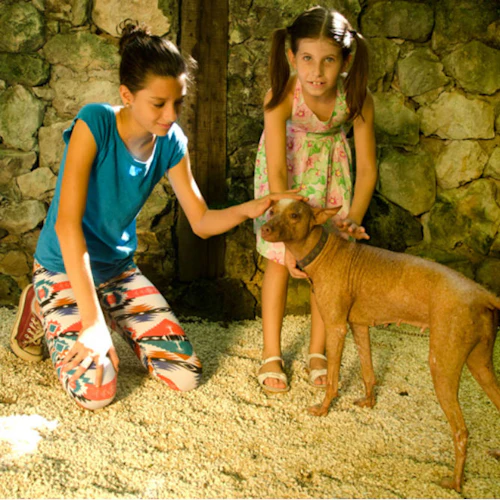 Croco Cun Zoo: Fast Track Ticket - Photo 3