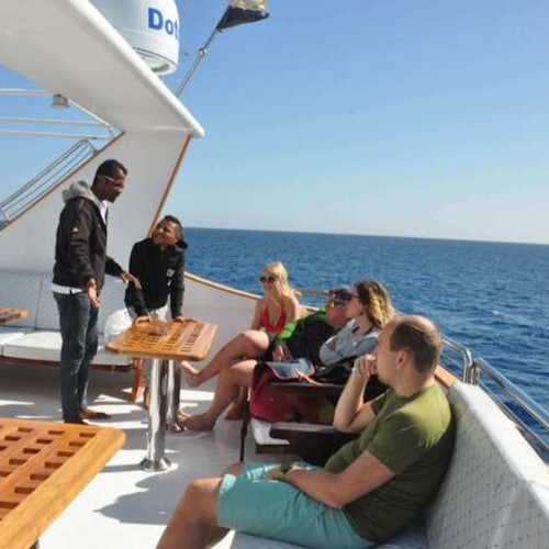 Hurghada Dolphin House Snorkeling Trip