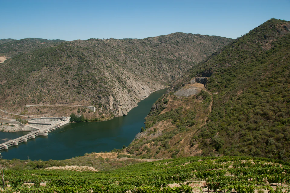 Dam