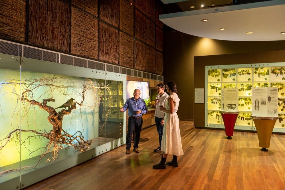 National Wine Centre of Australia: Guided Tour + Wine Tasting