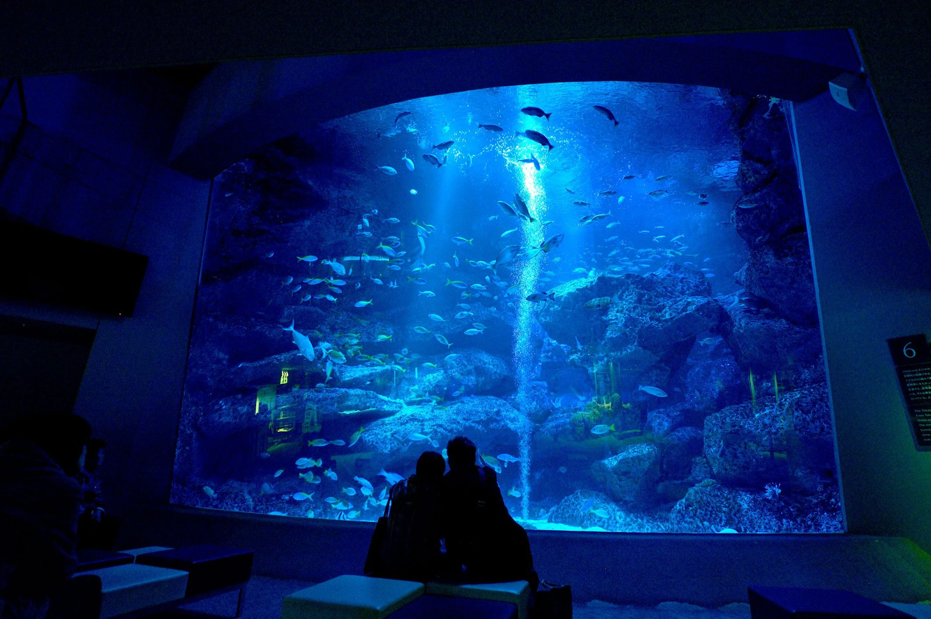 Sumida Aquarium