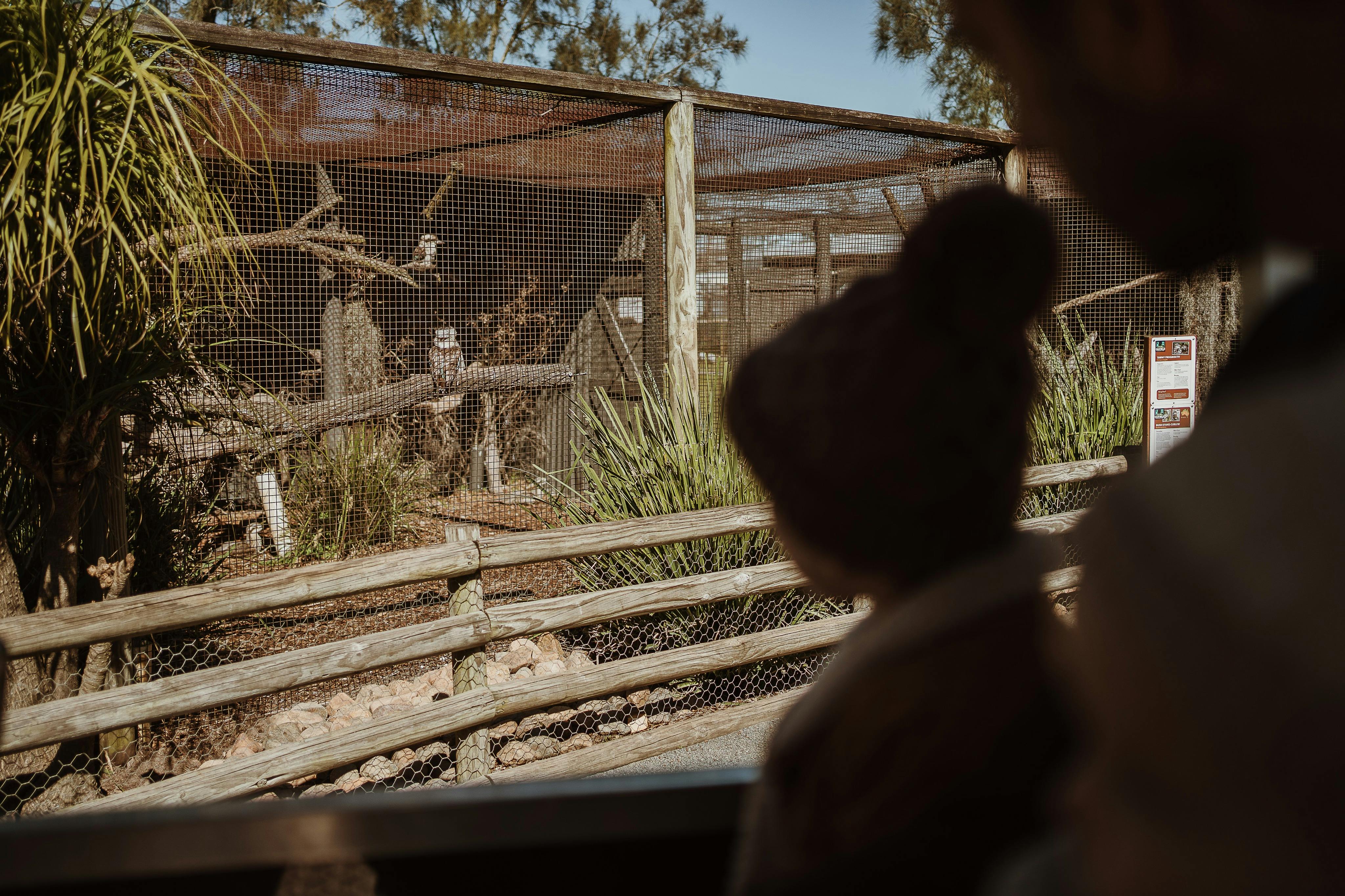 Guests on a tractor ride around the park - included in park admission at scheduled times.