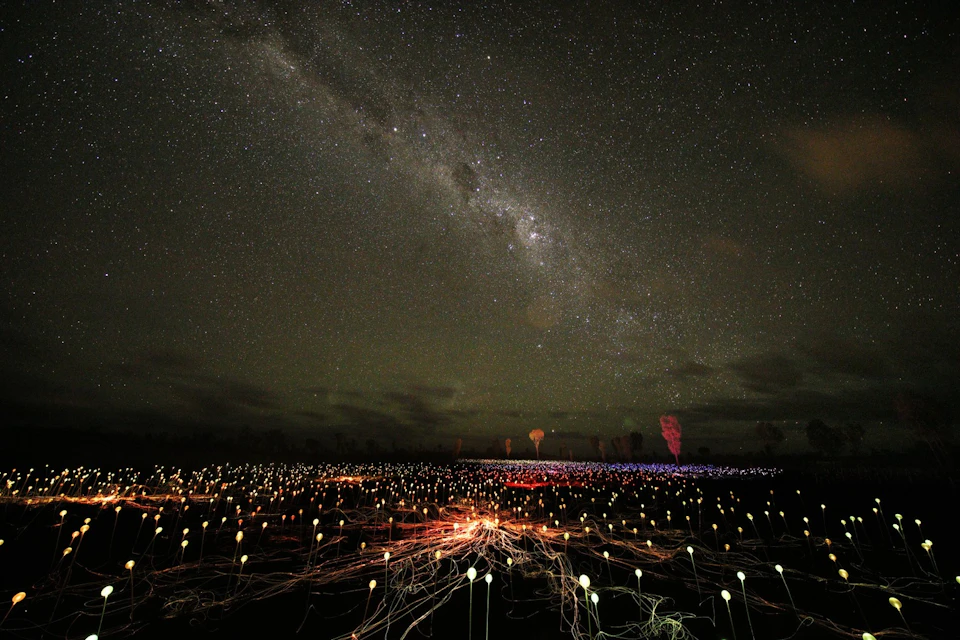 Field of Light