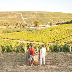 Sancerre: Wine Tastings + Lunch from Paris 2