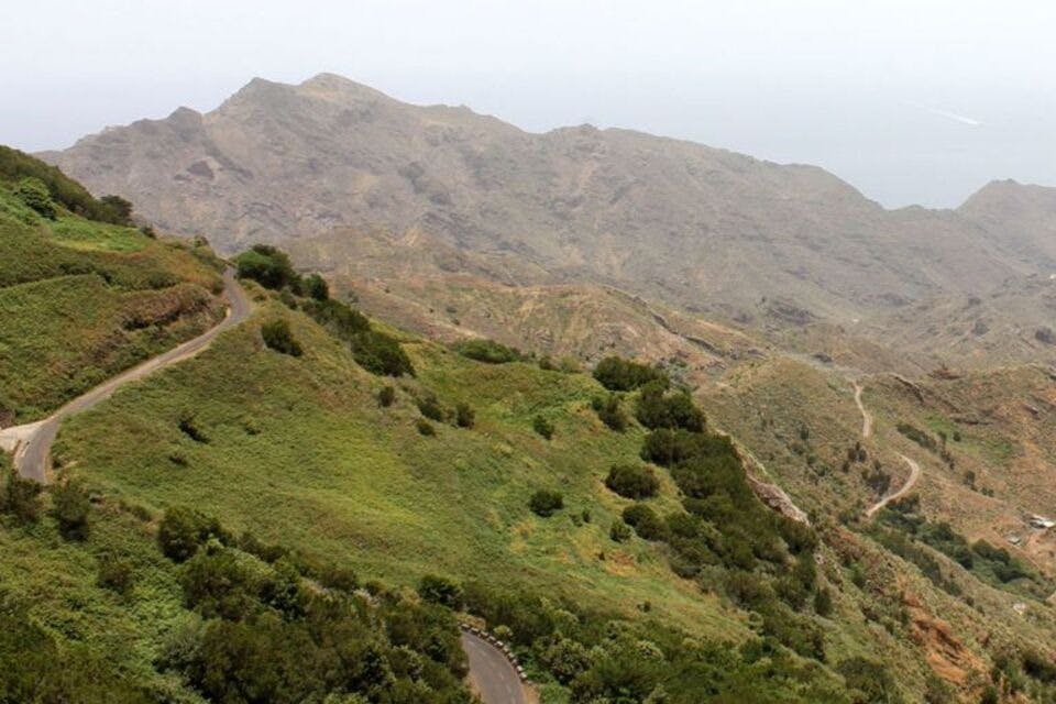 EXPÉRIENCE EN FORÊT
PARC RURAL D'ANAGA