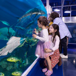 Dubai Aquarium & Underwater Zoo: Entry Ticket + Ray Encounter 4