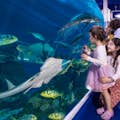 L'Aquàrium i el zoològic submarí de Dubai
