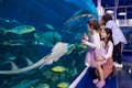 Akwarium i podwodne zoo w Dubaju