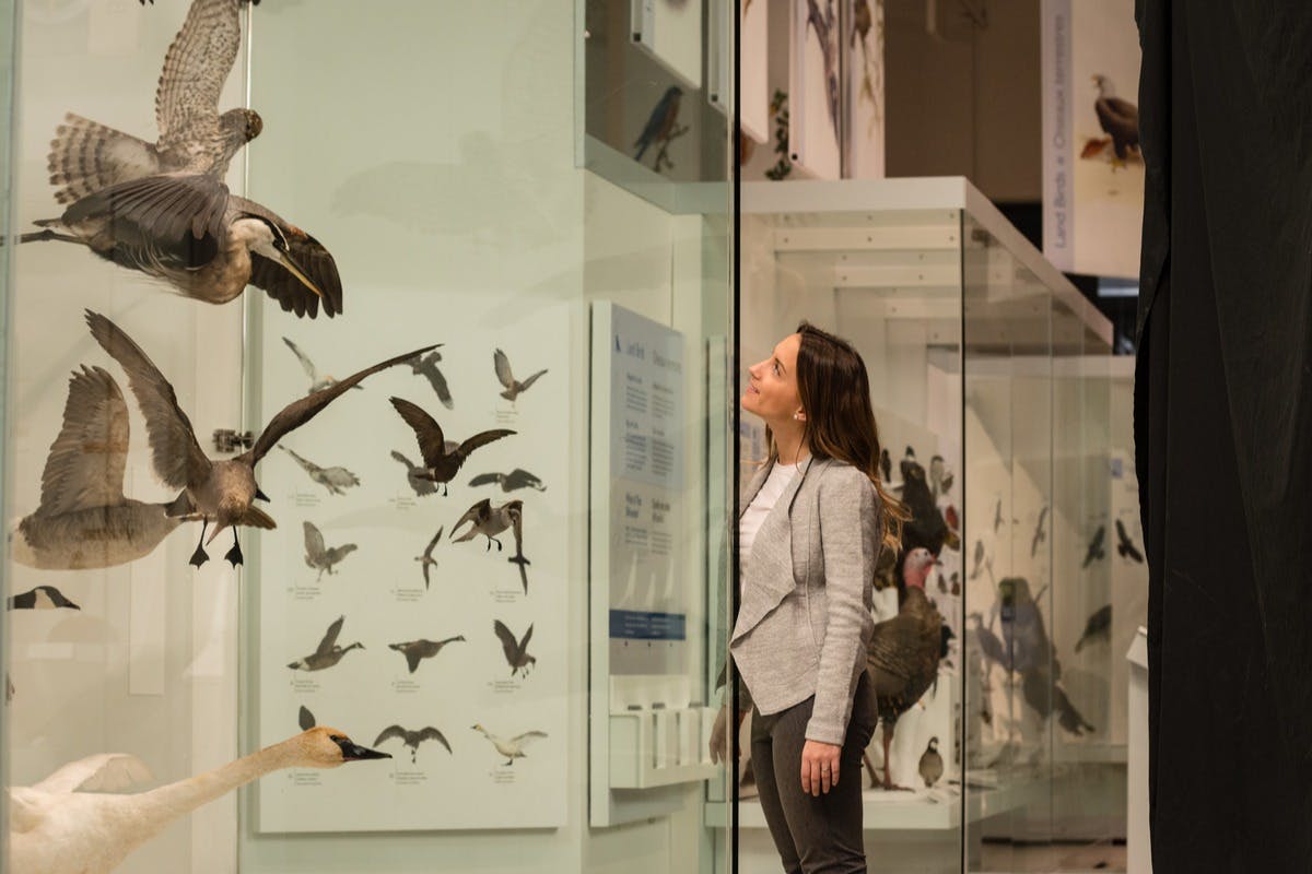 캐나다 자연 박물관