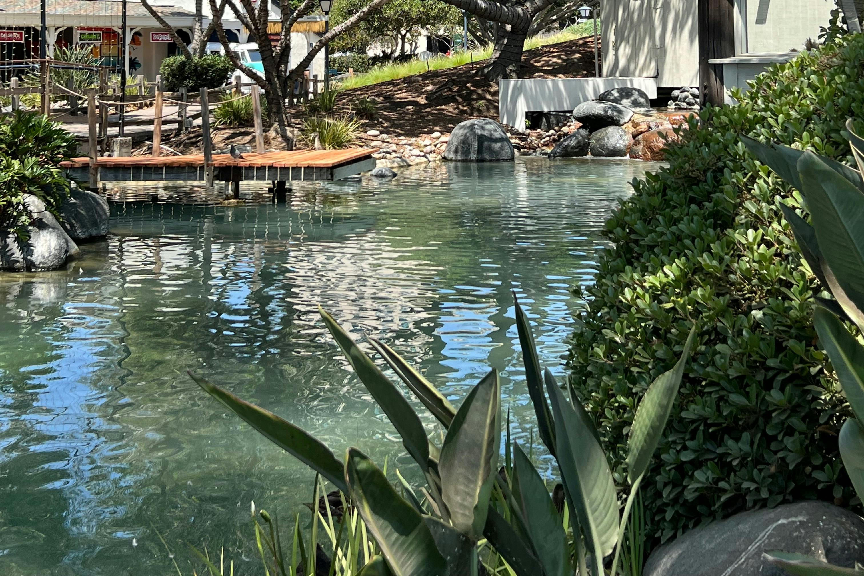 Seaport Village duck pond