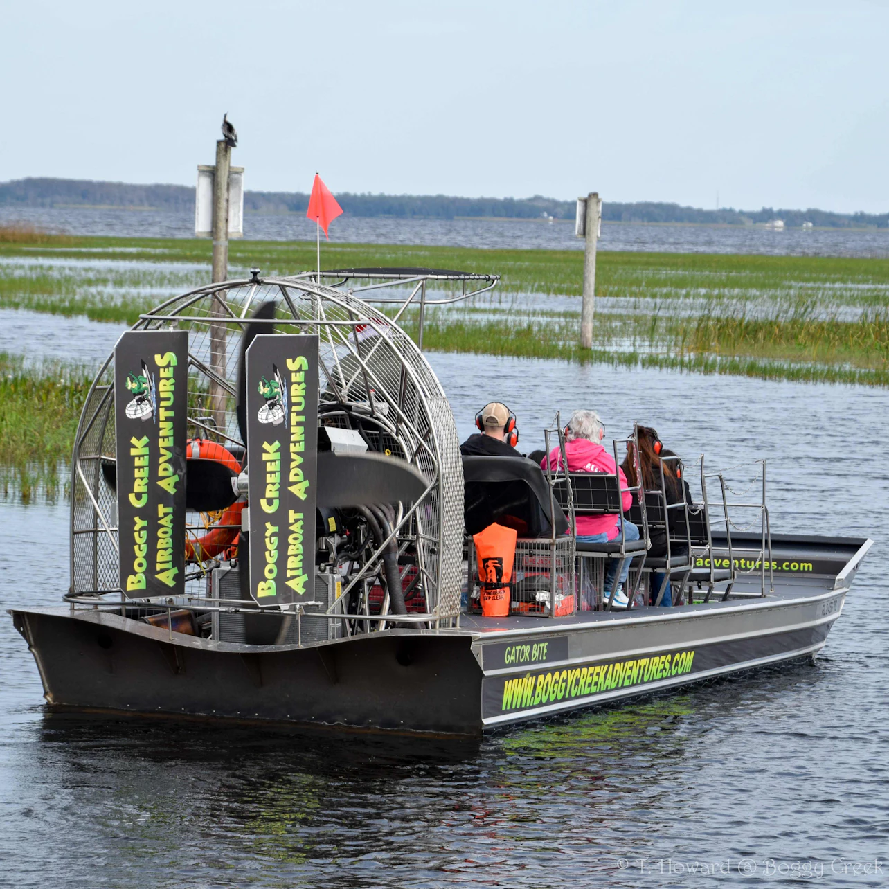 Kissimmee: 1-Hr Boggy Creek Everglades Airboat Tour in Kissimmee β Tiqets