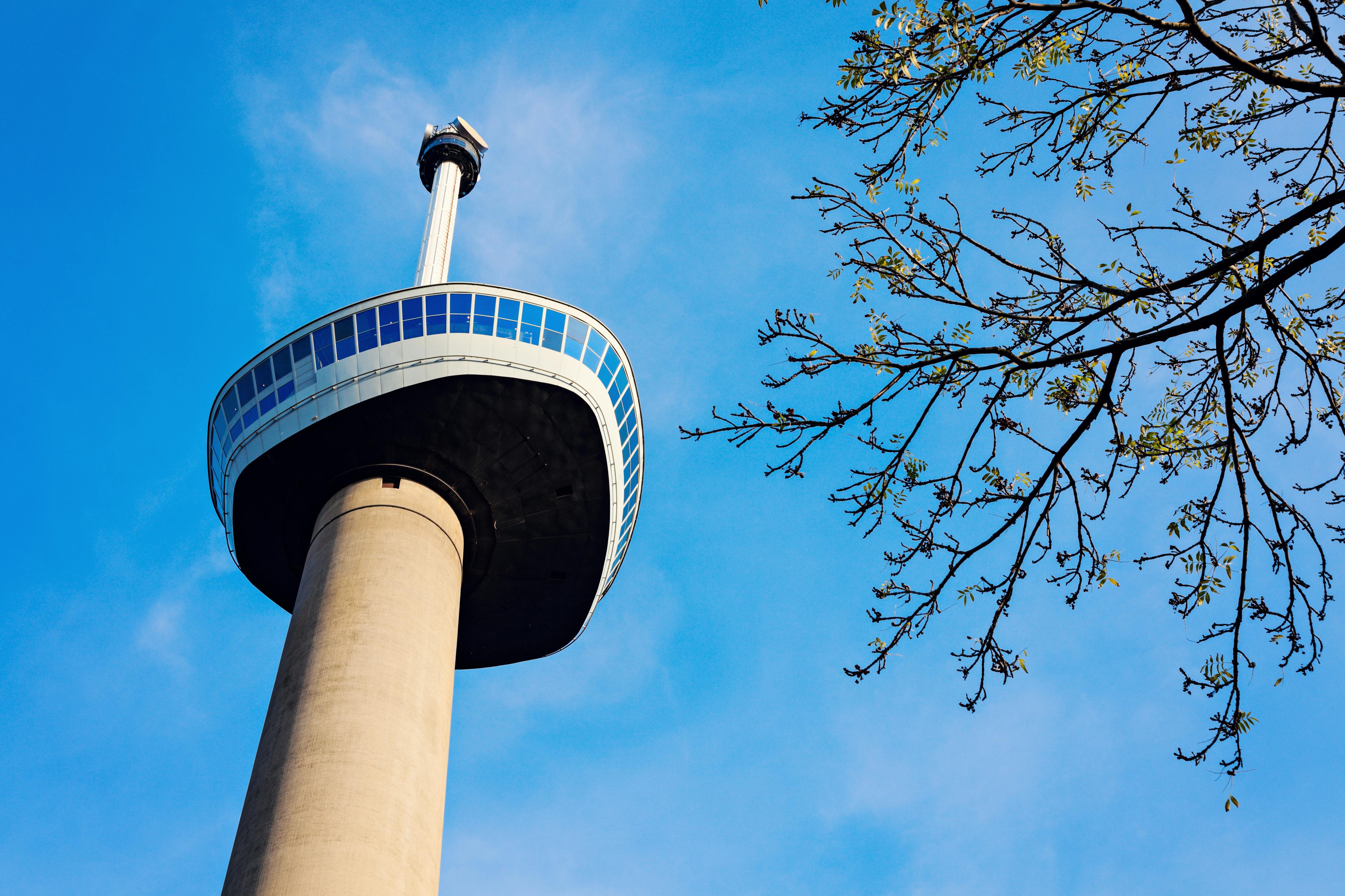 高耸的观景塔，圆形观景台对着蓝天，右侧可以看到一棵树的树枝。