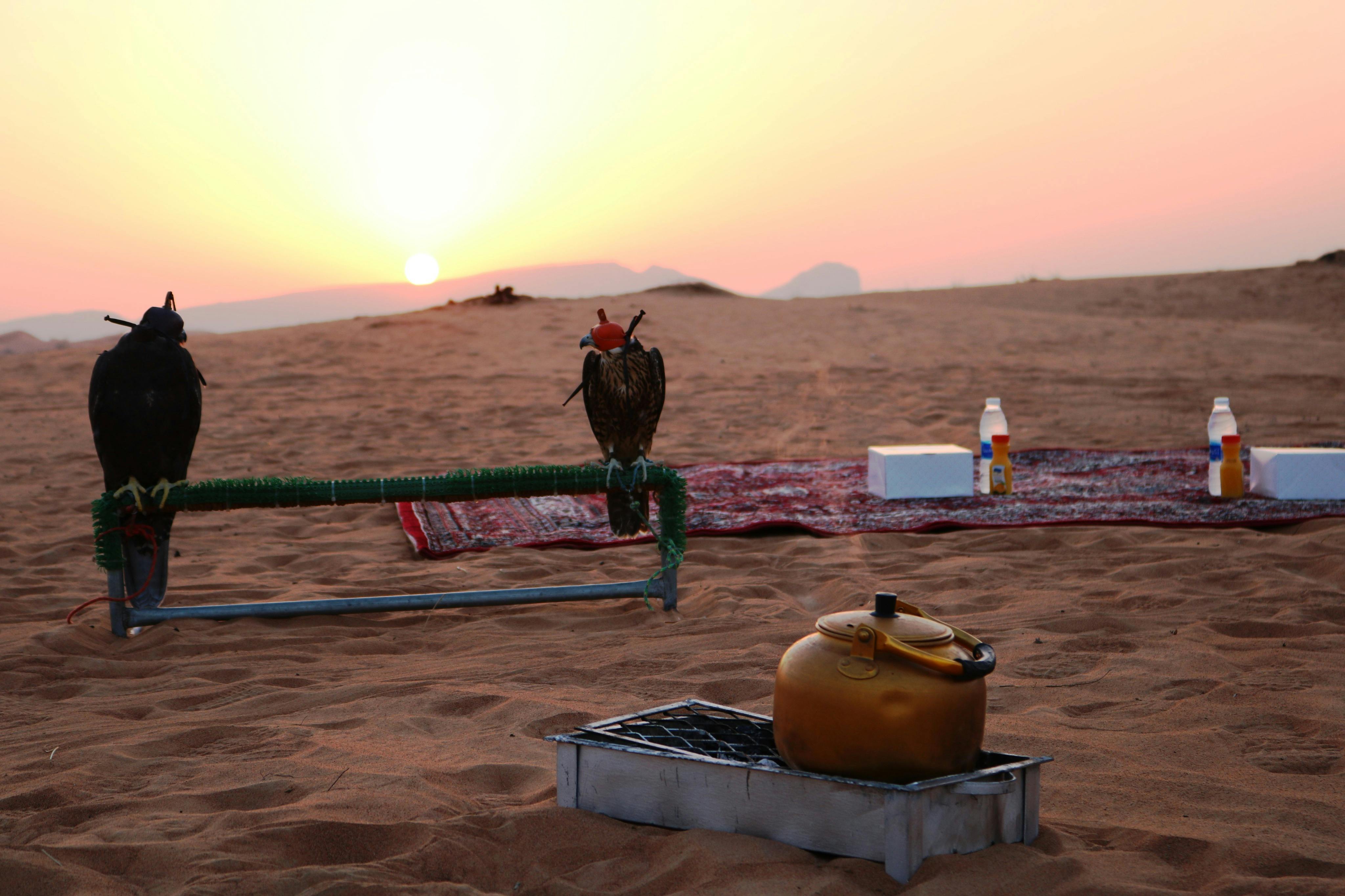 Orient Tours Dubai - Sunrise Desert Safari