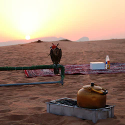 Sunrise Desert Safari: Smooth Dune Drive & Al Qudra Lake with Picnic Breakfast 4