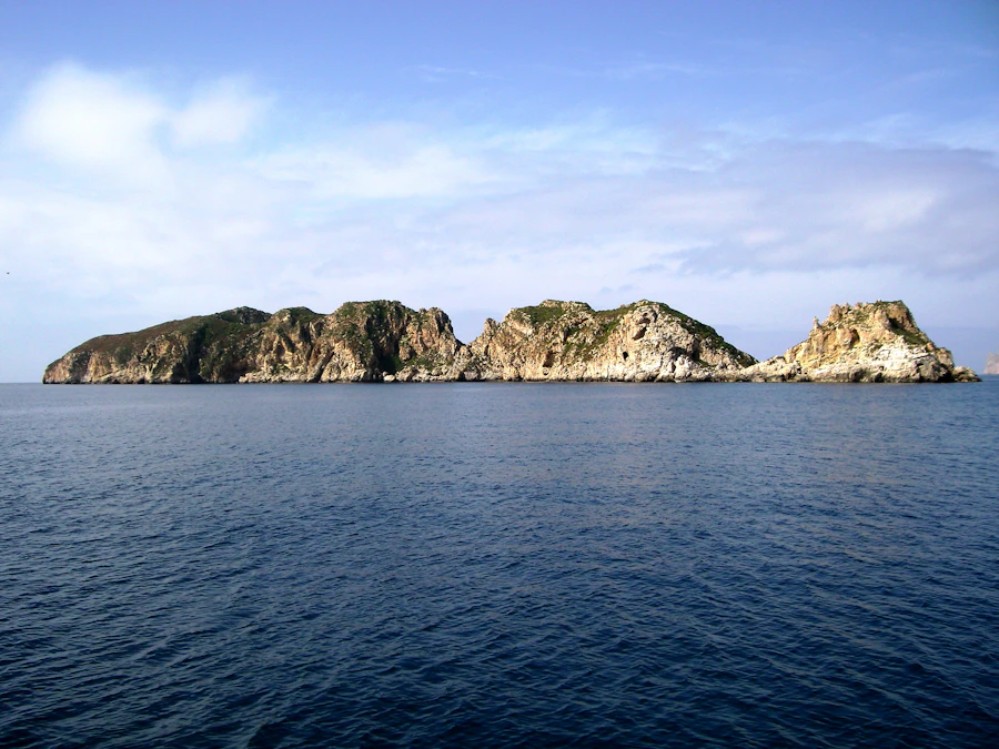 Malgrats Islands Glass Bottom Boat Tour