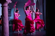 Dansegruppe i Tablao El Cardenal