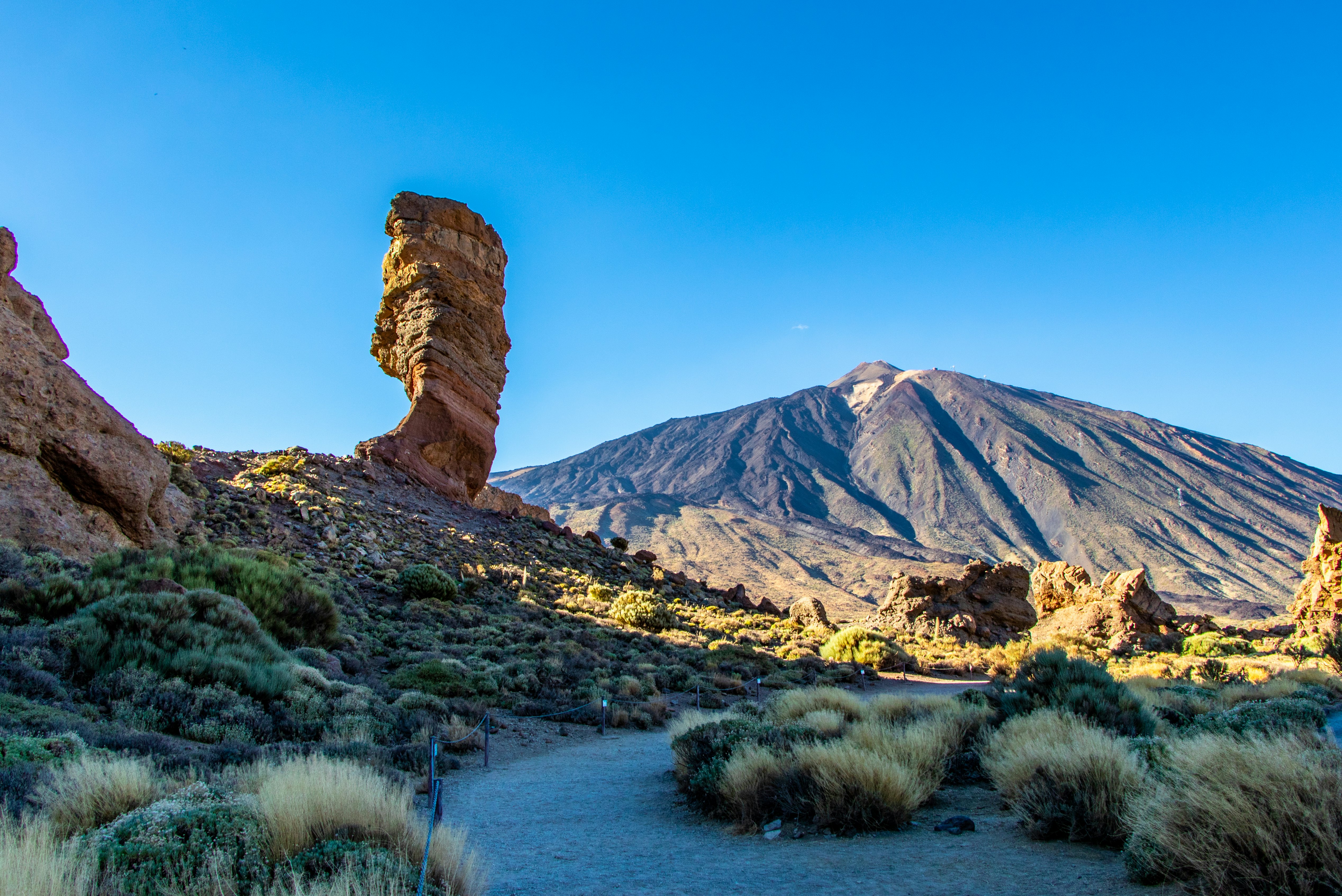 sund fornuft kost korn Billetter til Teide Nationalpark – Santa Cruz de Tenerife | Tiqets.com