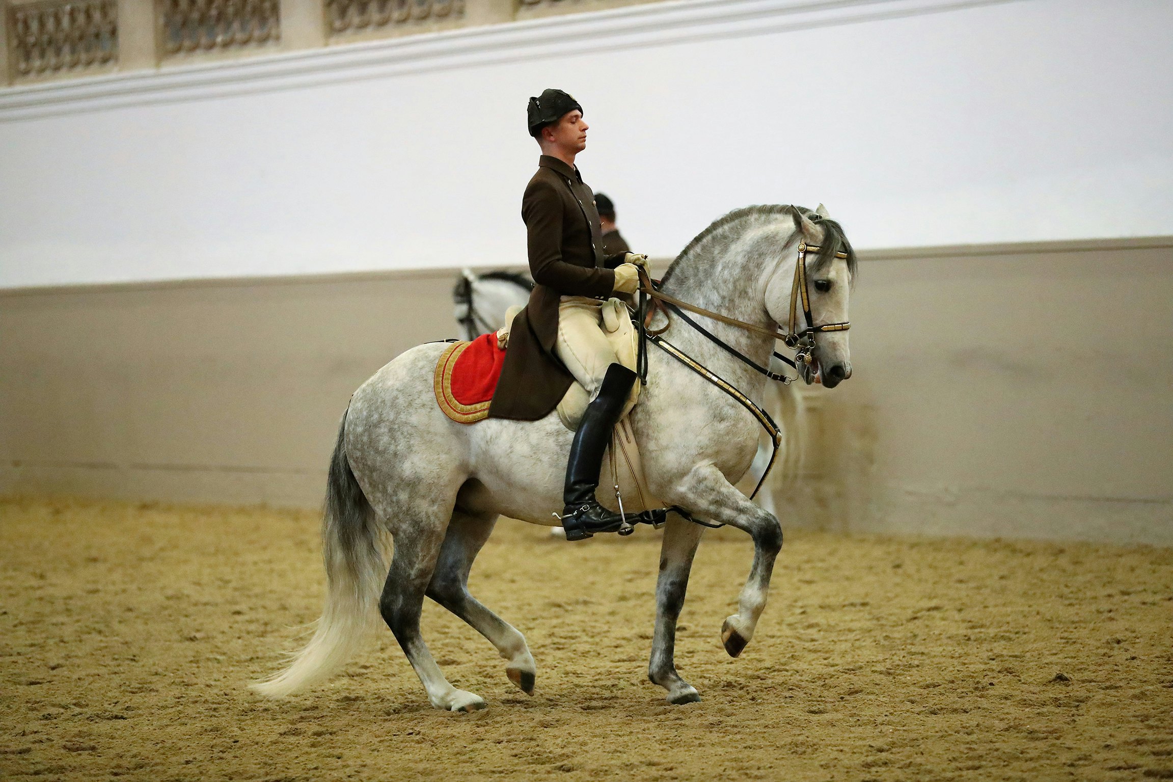 Lipizzaner Performance at the Spanish Riding School