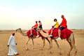 Family trip on camels 