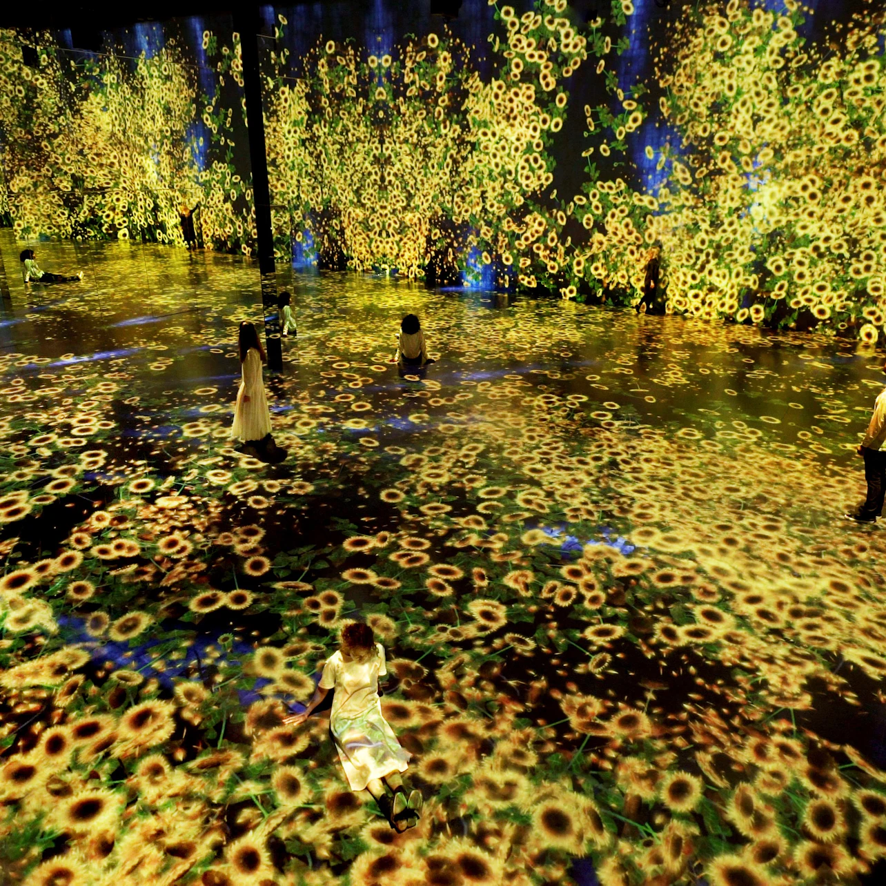 Superblue Miami Immersive Art Experience feat. teamLab in Miami β Tiqets