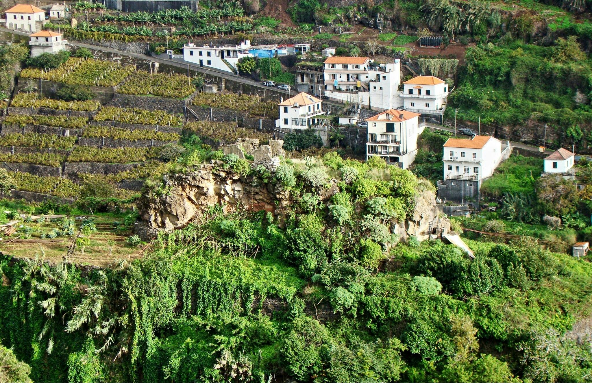 Terrassenförmig angelegte Weinberge und weiße Häuser mit orangefarbenen Dächern an einem üppigen, grünen Hang mit felsigen Ausläufern.
