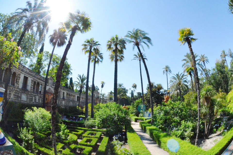 Royal Alcazar Gardens