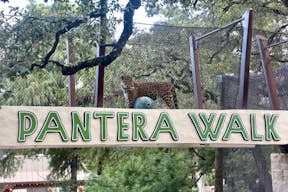 Зоопарк Сан-Антонио