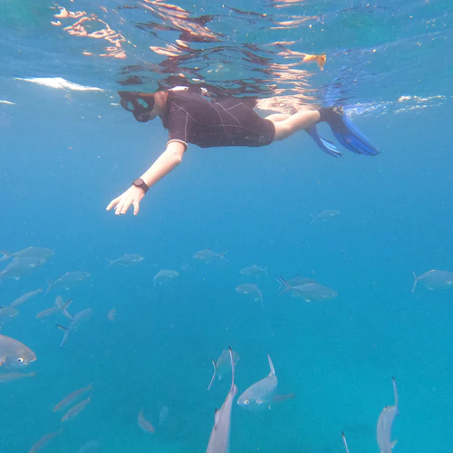 Tenerife: Guided Snorkeling Experience - Photo 2