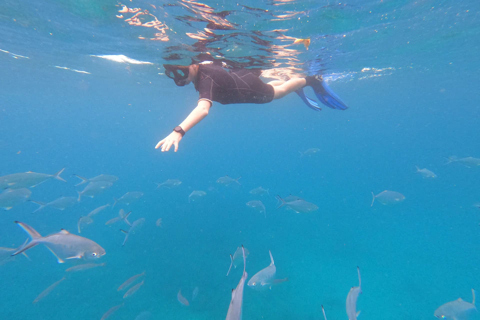Snorkeling by boat