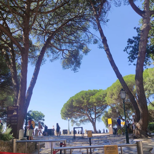 Castelo de São Jorge: tour guiado em grupo pequeno - Photo 4