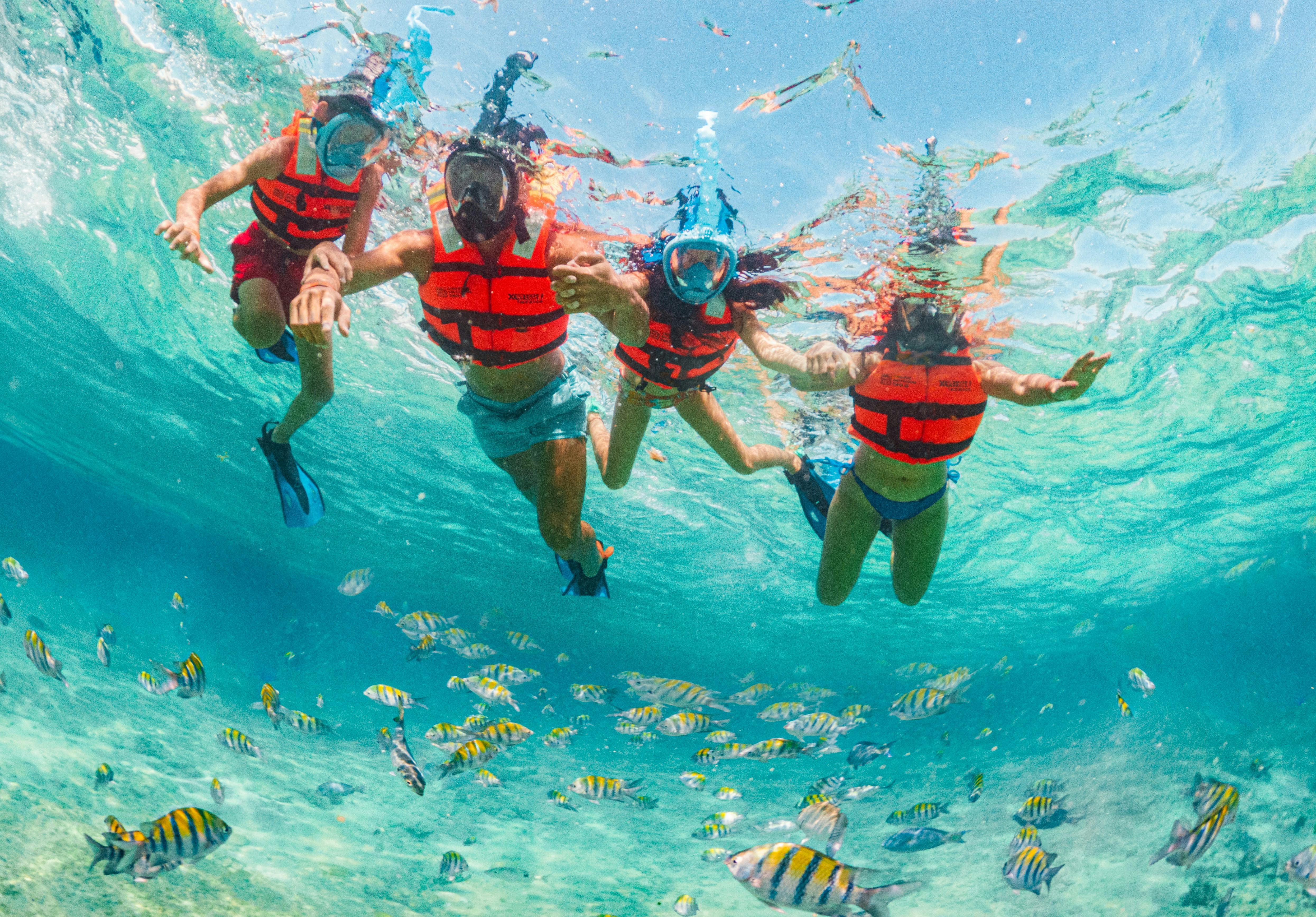 四个穿着浮潜和救生衣的人在清澈的蓝水中被五颜六色的鱼包围的水下游泳。