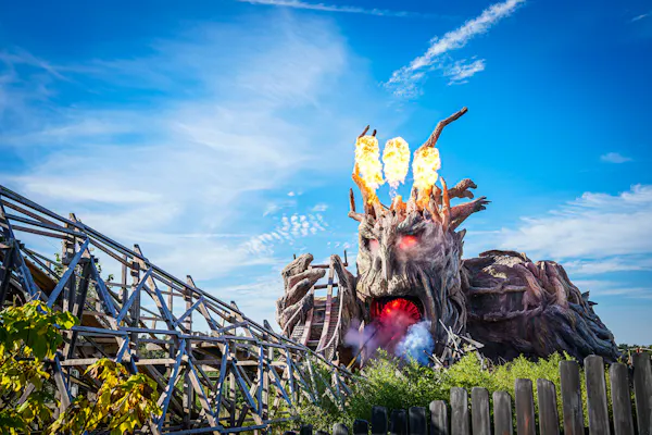 Heide Park Resort : Billet d'entrée