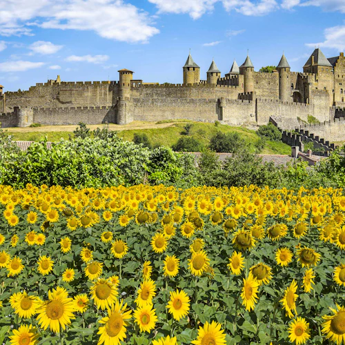 Carcassonne: Aplicativo de guia de áudio por TouringBee - Photo 3