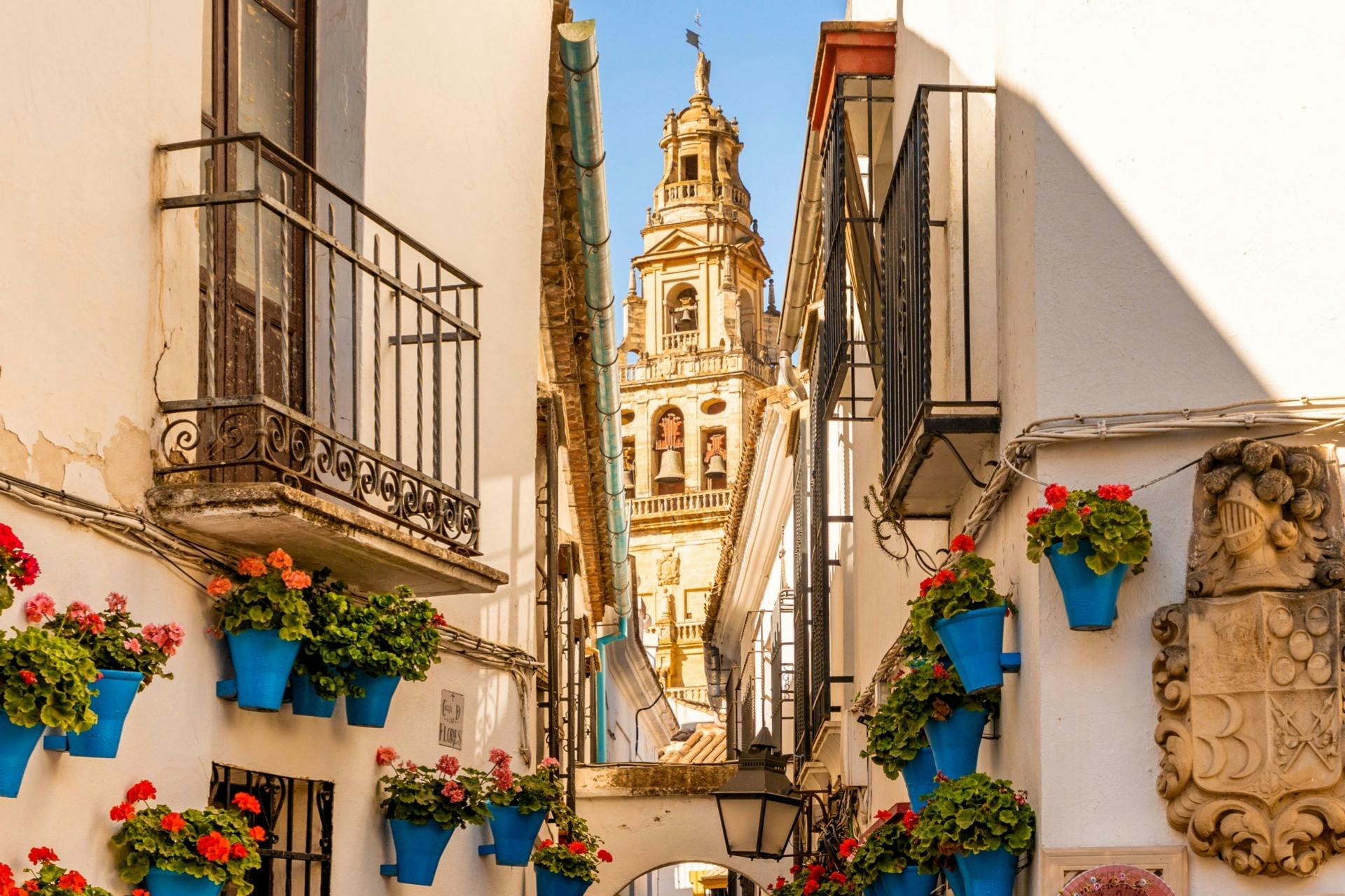 Narrow street lined with white buildings and blue pots with red flowers. A historic bell tower is visible at the end of the street.