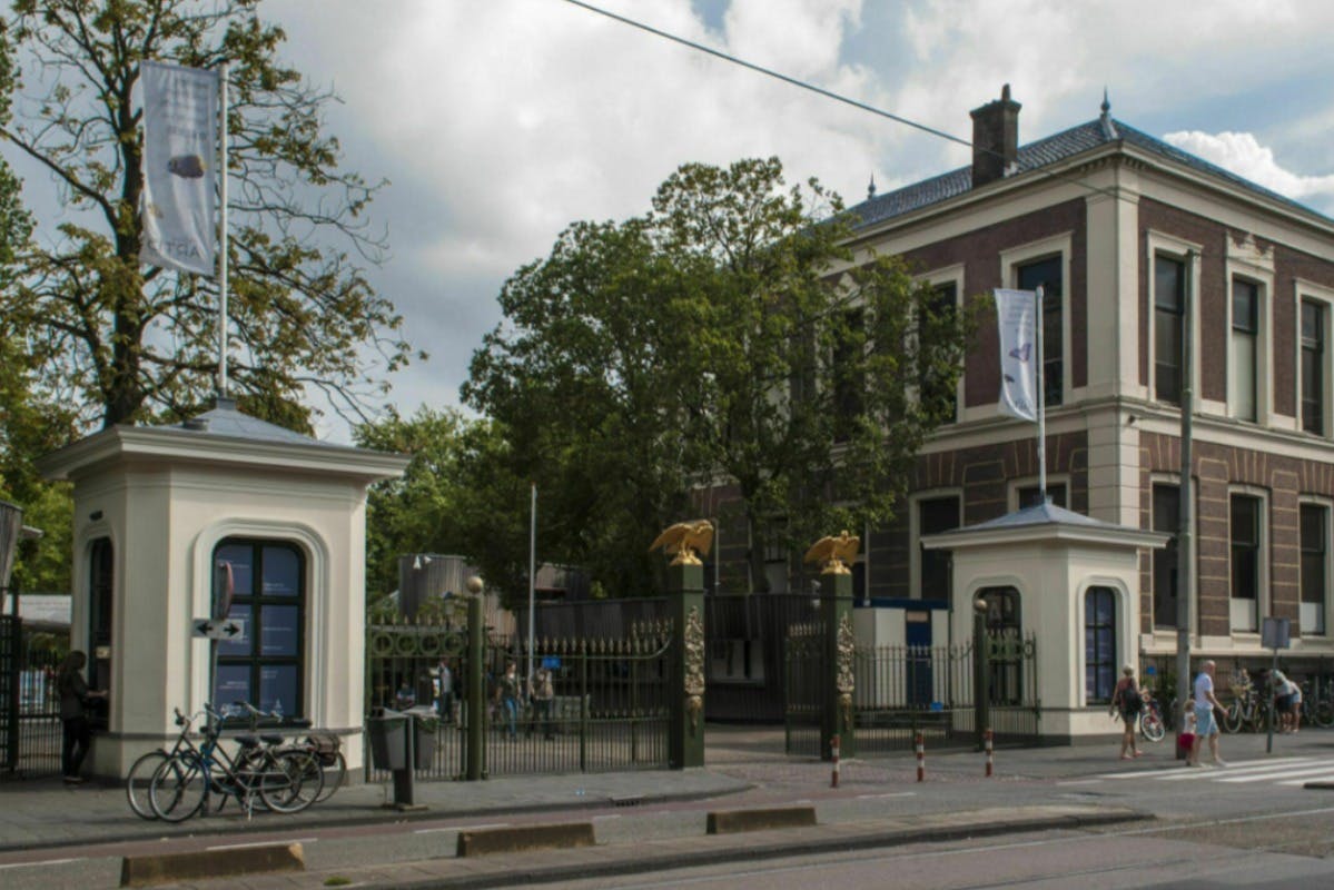 Explore Amsterdam: Hop-on Hop-off with Local Public Transport 4