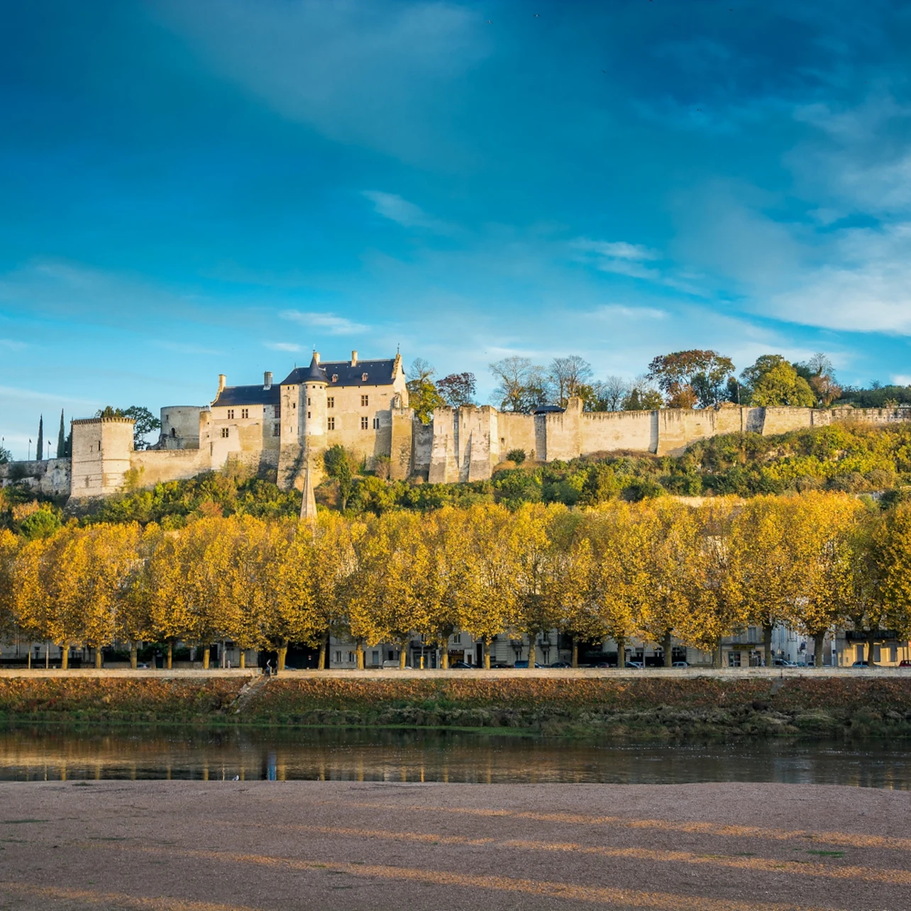 Gallery preview 1 of Forteresse royale de Chinon