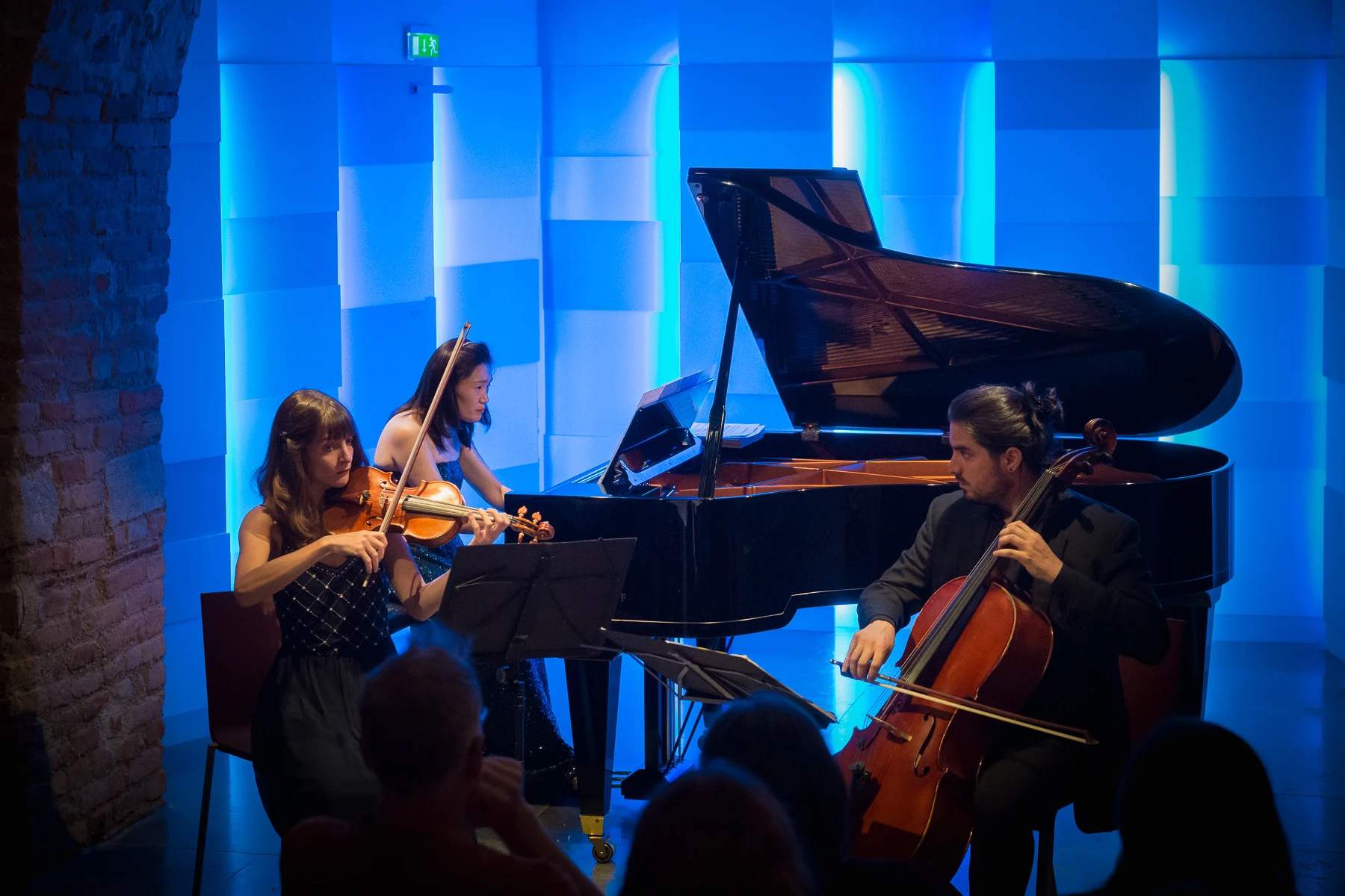 Mozarthaus Vienna: Entry Ticket + Wiener Ensemble Evening Classic Concert